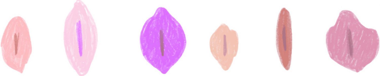 Vaginas Ilustradas